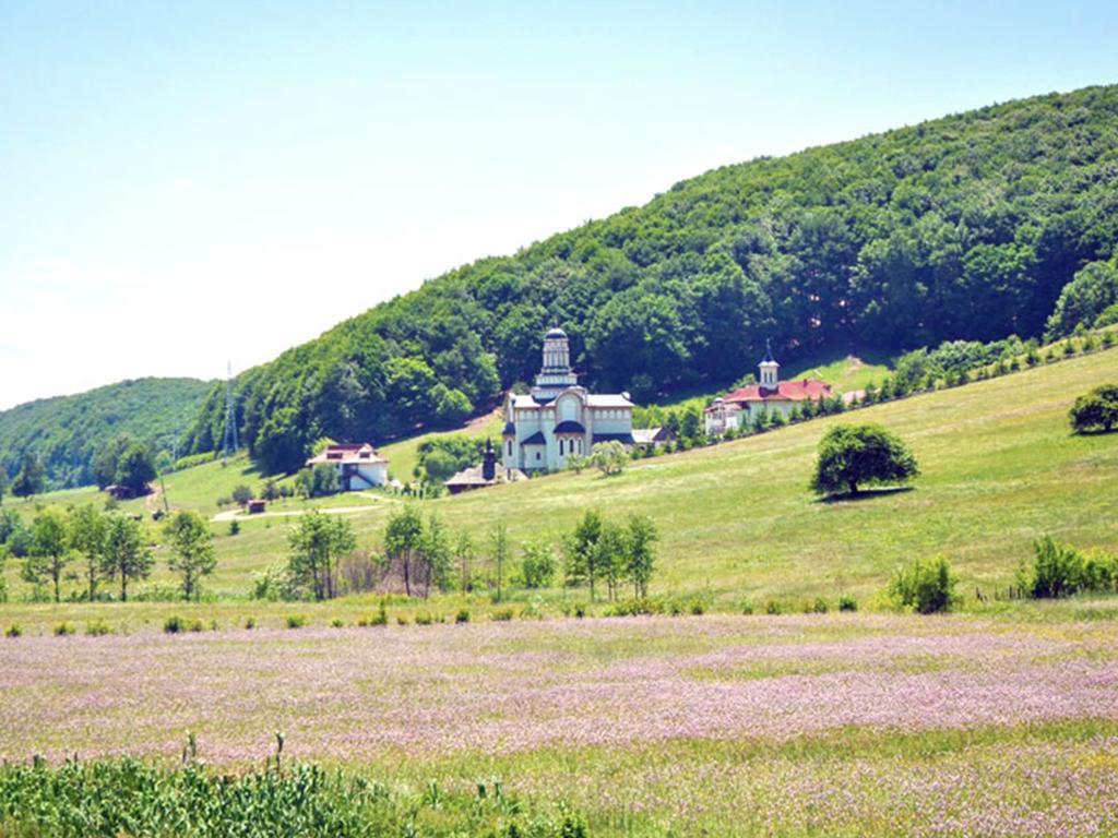 Гостевой дом Casa Bradet Инторсура-Бузэулуй Экстерьер фото