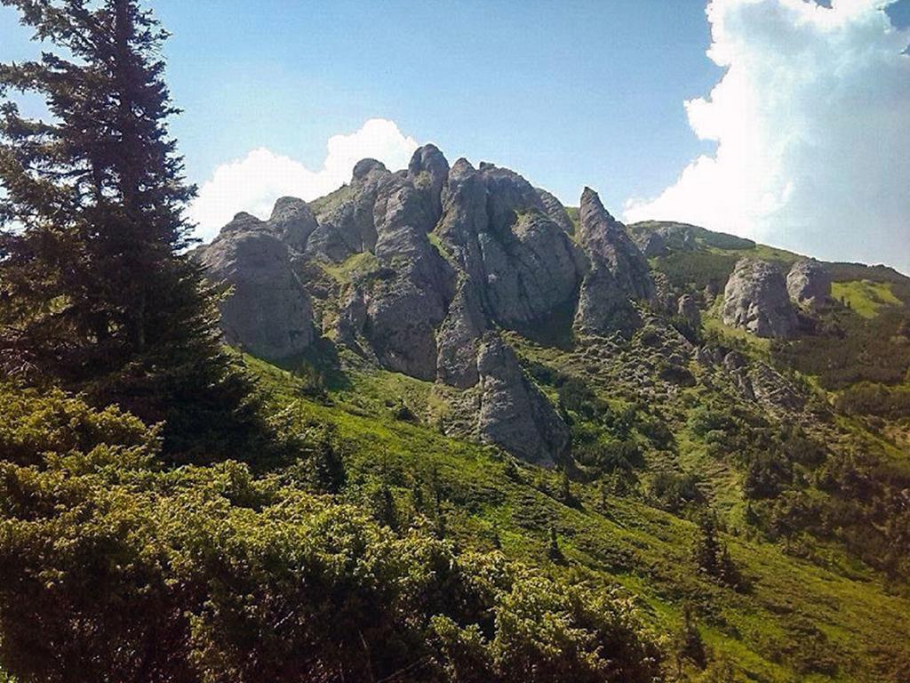 Гостевой дом Casa Bradet Инторсура-Бузэулуй Экстерьер фото